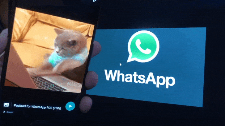 WhatsApp通过GIF入侵您的Android手机